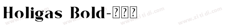 Holigas Bold字体转换